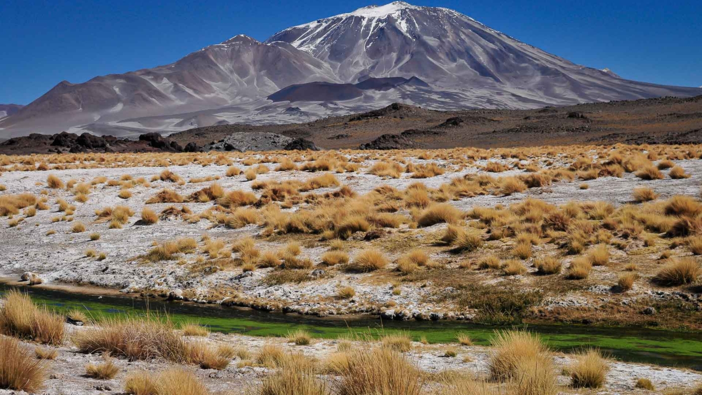 15c64dbe-f3a2-4135-8b9b-81db870c7e82