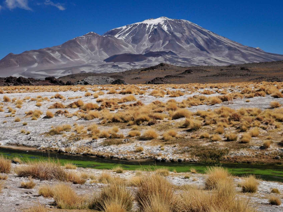 15c64dbe-f3a2-4135-8b9b-81db870c7e82