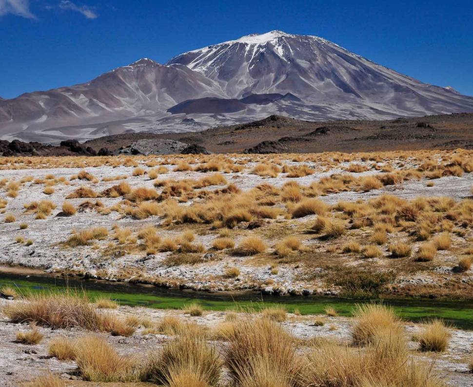 15c64dbe-f3a2-4135-8b9b-81db870c7e82